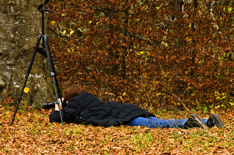 Fotografen in Action 100